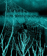 Henry's Web